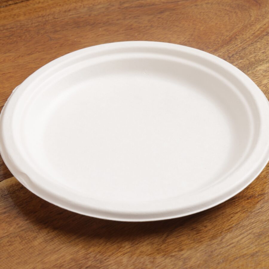 12 inch Plain Round Plate