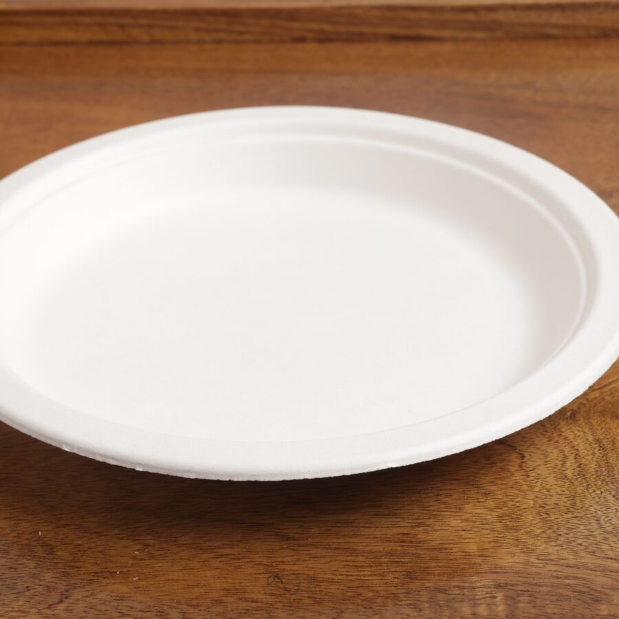 9 inch Plain Round Plate