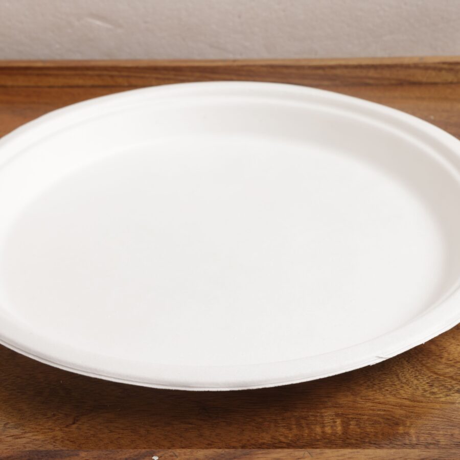 10 inch Plain Round Plate